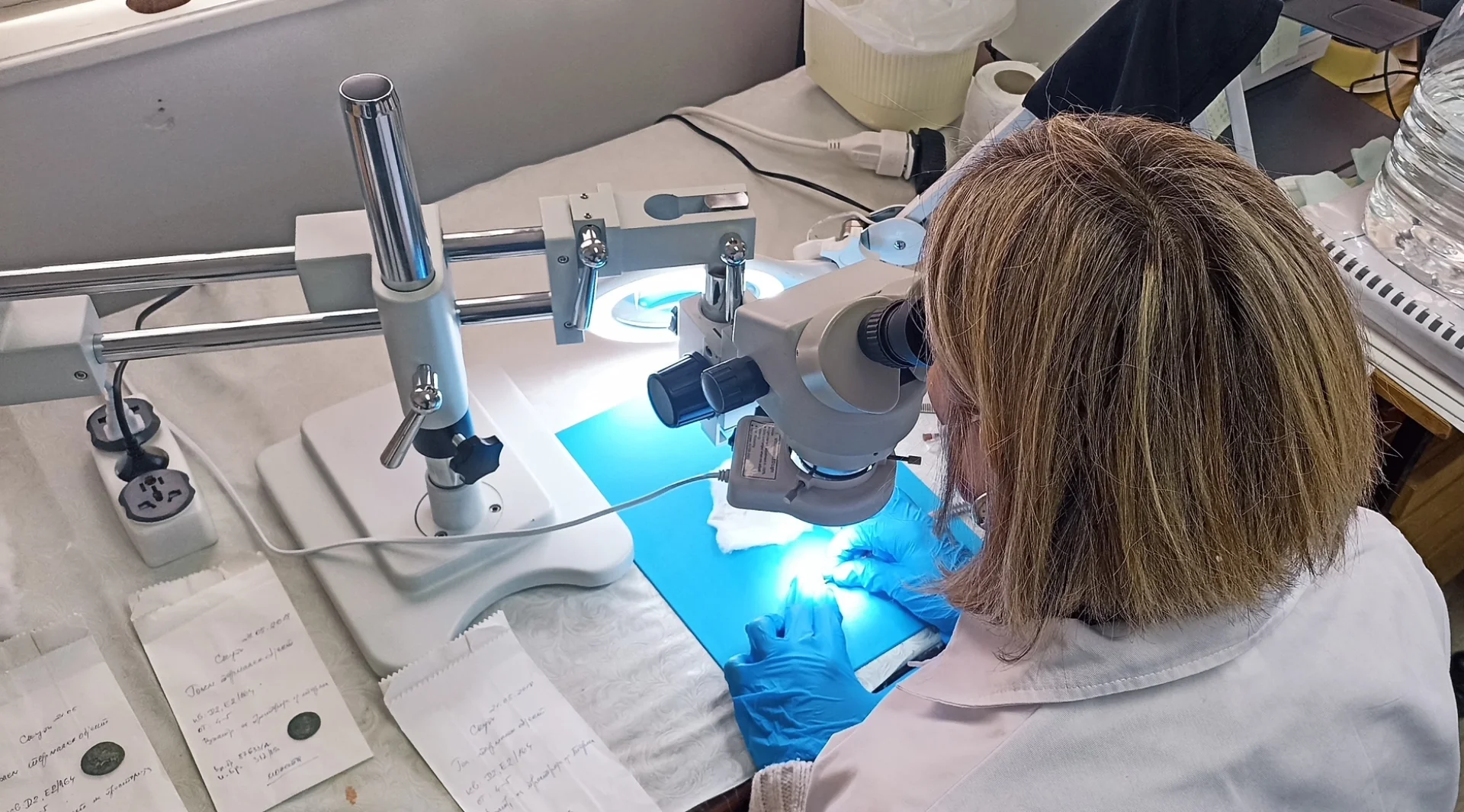 Одделение за конзервација