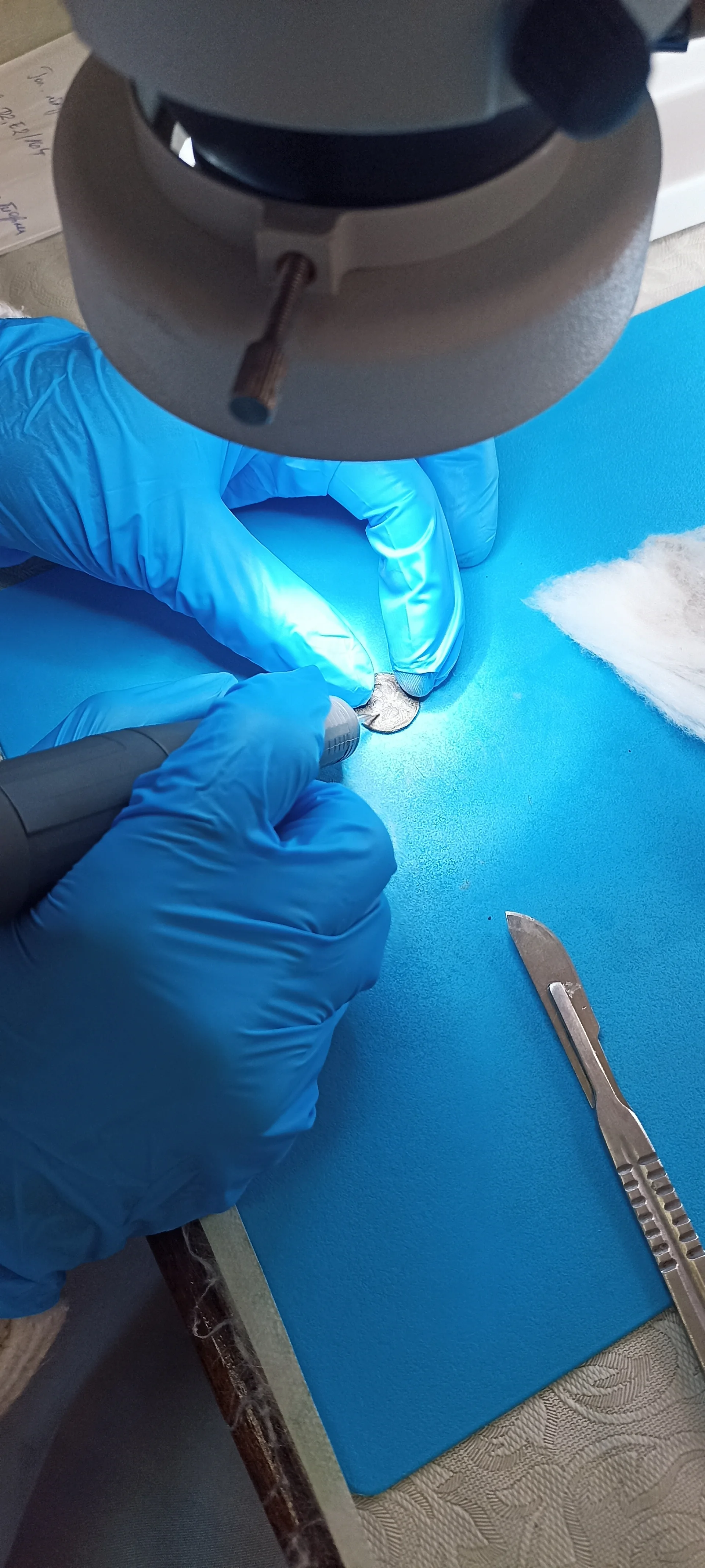 Одделение за конзервација