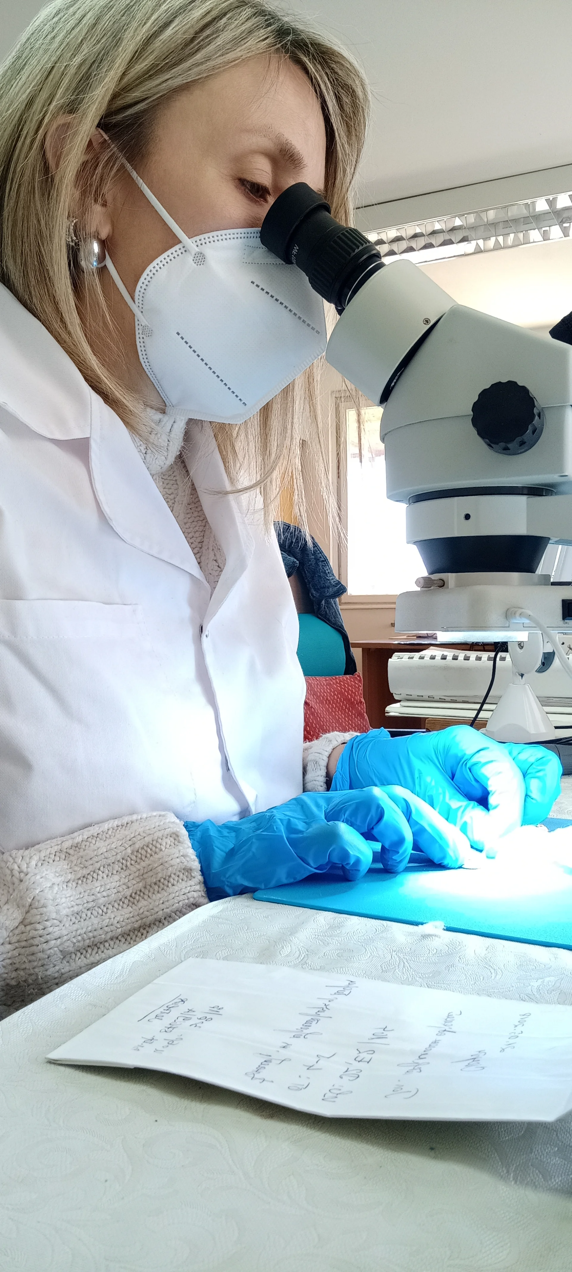 Одделение за конзервација