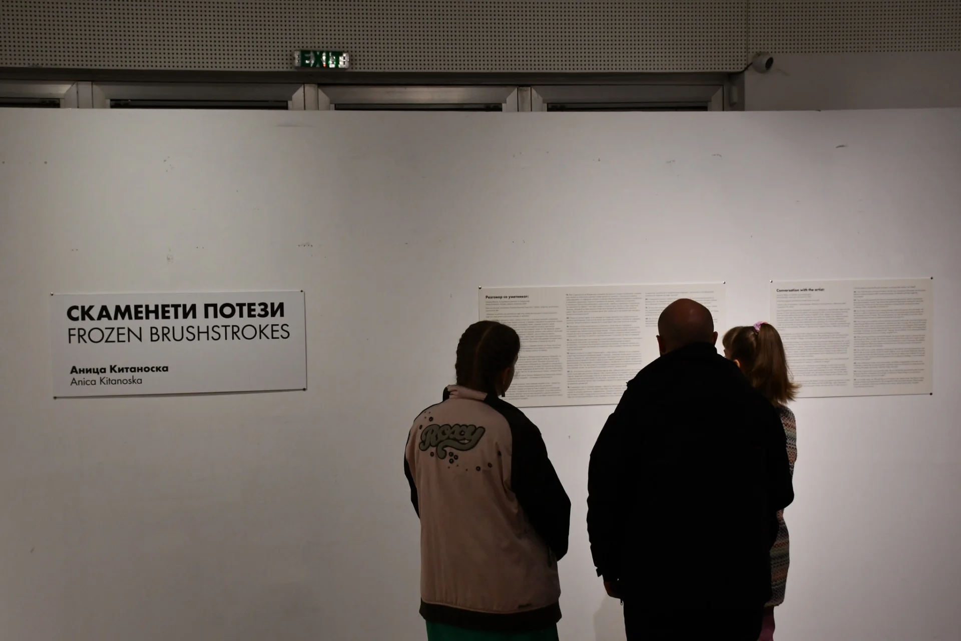 Скаменети потези